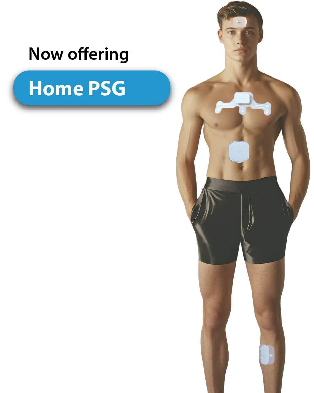 home psg--01
